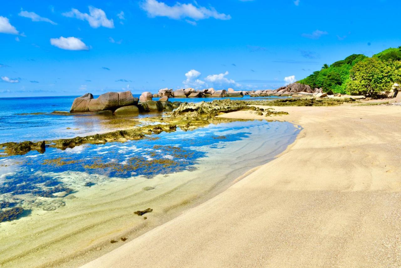 Sea Splash Self Catering And La Petite Maison 大安塞 外观 照片