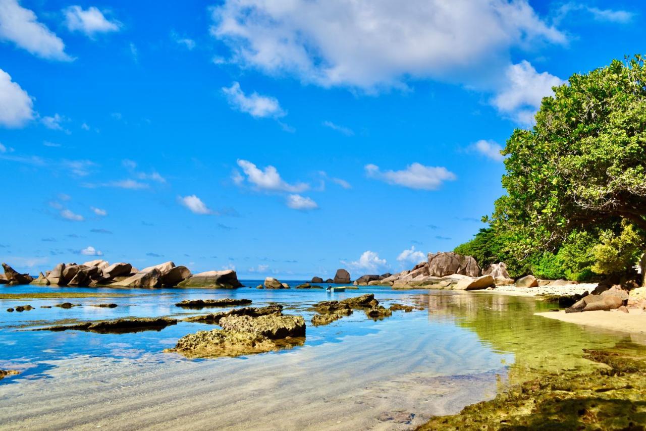 Sea Splash Self Catering And La Petite Maison 大安塞 外观 照片