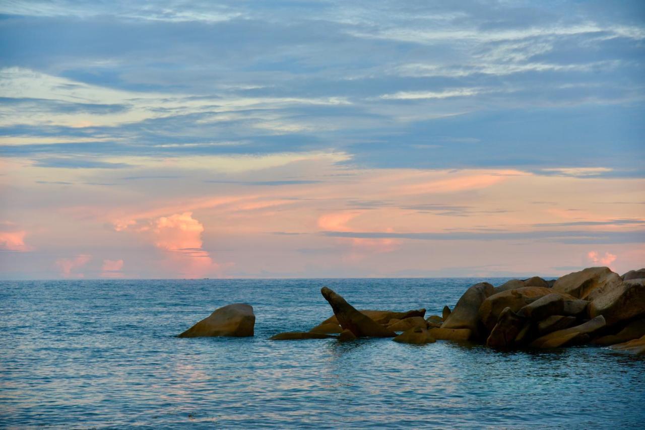 Sea Splash Self Catering And La Petite Maison 大安塞 外观 照片